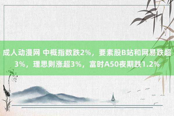 成人动漫网 中概指数跌2%，要素股B站和网易跌超3%，理思则涨超3%，富时A50夜期跌1.2%