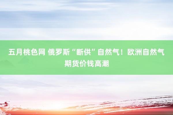 五月桃色网 俄罗斯“断供”自然气！欧洲自然气期货价钱高潮
