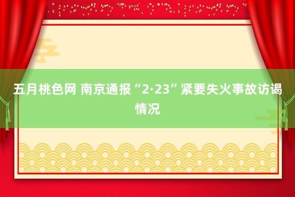 五月桃色网 南京通报“2·23”紧要失火事故访谒情况