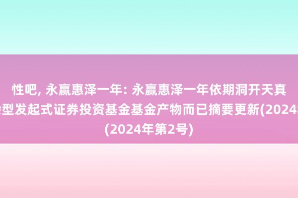 性吧， 永赢惠泽一年: 永赢惠泽一年依期洞开天真成就混杂型发起式证券投资基金基金产物而已摘要更新(2024年第2号)
