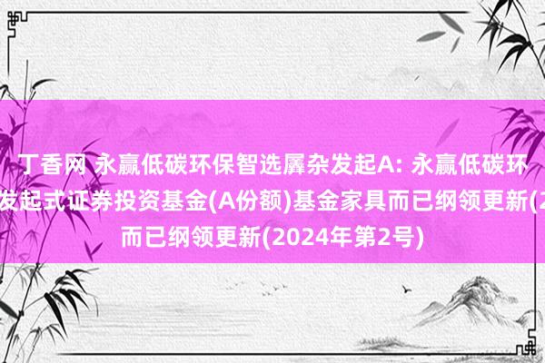 丁香网 永赢低碳环保智选羼杂发起A: 永赢低碳环保智选羼杂型发起式证券投资基金(A份额)基金家具而已纲领更新(2024年第2号)