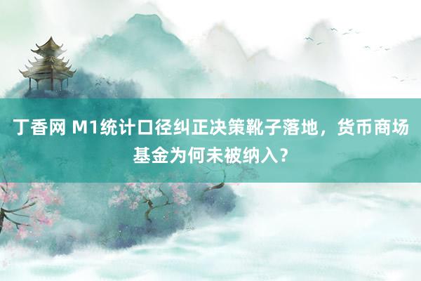 丁香网 M1统计口径纠正决策靴子落地，货币商场基金为何未被纳入？
