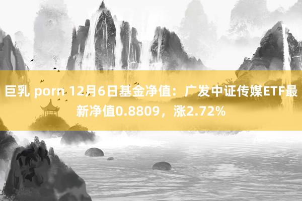 巨乳 porn 12月6日基金净值：广发中证传媒ETF最新净值0.8809，涨2.72%