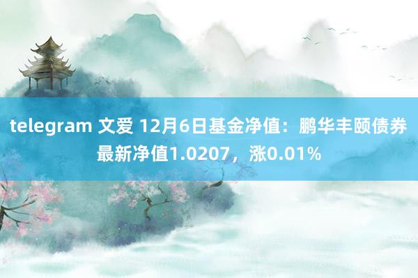 telegram 文爱 12月6日基金净值：鹏华丰颐债券最新净值1.0207，涨0.01%