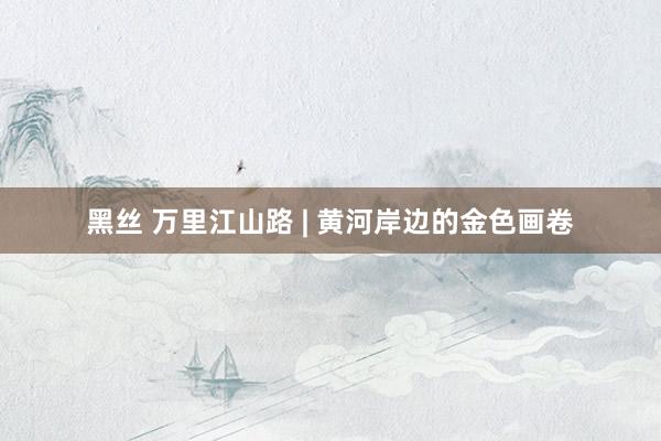 黑丝 万里江山路 | 黄河岸边的金色画卷