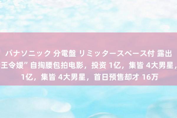 パナソニック 分電盤 リミッタースペース付 露出・半埋込両用形 “赌王令嫒”自掏腰包拍电影，投资 1亿，集皆 4大男星，首日预售却才 16万