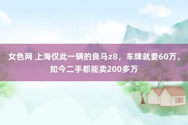 女色网 上海仅此一辆的良马z8，车牌就要60万，如今二手都能卖200多万