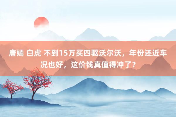 唐嫣 白虎 不到15万买四驱沃尔沃，年份还近车况也好，这价钱真值得冲了？