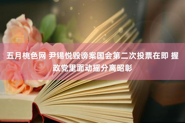 五月桃色网 尹锡悦毁谤案国会第二次投票在即 握政党里面动摇分离昭彰