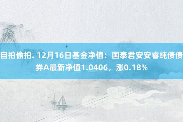 自拍偷拍. 12月16日基金净值：国泰君安安睿纯债债券A最新净值1.0406，涨0.18%
