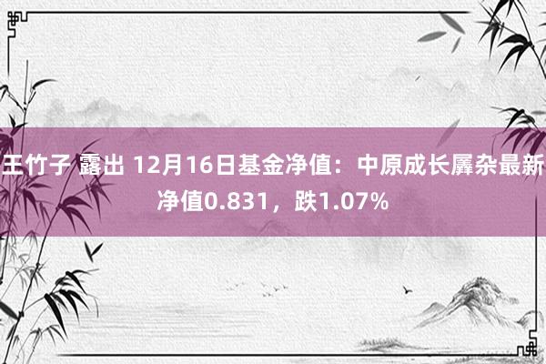 王竹子 露出 12月16日基金净值：中原成长羼杂最新净值0.831，跌1.07%
