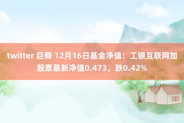 twitter 巨臀 12月16日基金净值：工银互联网加股票最新净值0.473，跌0.42%
