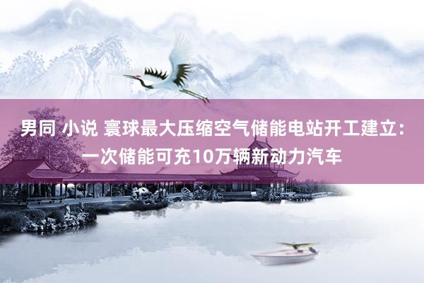 男同 小说 寰球最大压缩空气储能电站开工建立：一次储能可充10万辆新动力汽车