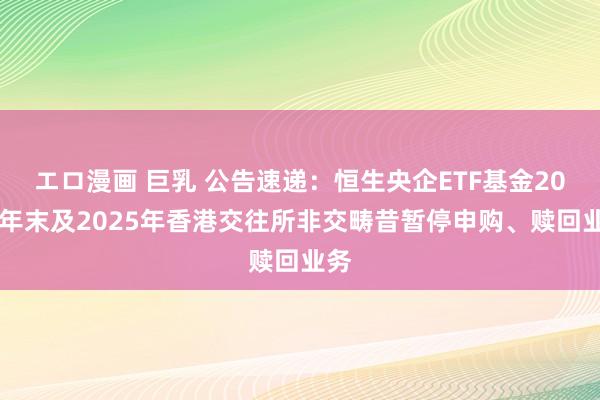 エロ漫画 巨乳 公告速递：恒生央企ETF基金2024年末及2025年香港交往所非交畴昔暂停申购、赎回业务