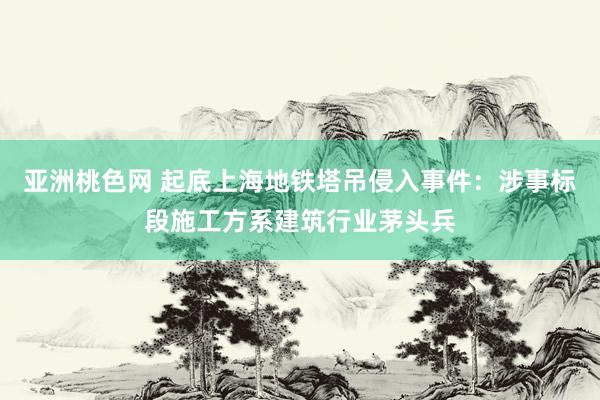 亚洲桃色网 起底上海地铁塔吊侵入事件：涉事标段施工方系建筑行业茅头兵