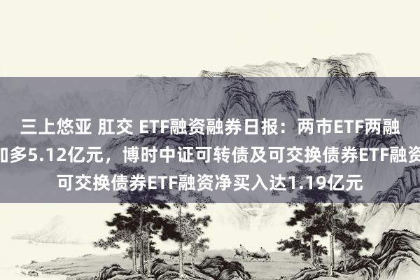 三上悠亚 肛交 ETF融资融券日报：两市ETF两融余额较前一来回日加多5.12亿元，博时中证可转债及可交换债券ETF融资净买入达1.19亿元