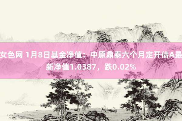 女色网 1月8日基金净值：中原鼎泰六个月定开债A最新净值1.0387，跌0.02%
