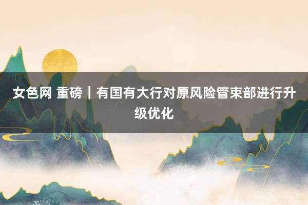 女色网 重磅｜有国有大行对原风险管束部进行升级优化