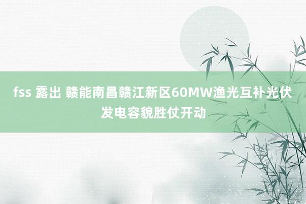 fss 露出 赣能南昌赣江新区60MW渔光互补光伏发电容貌胜仗开动